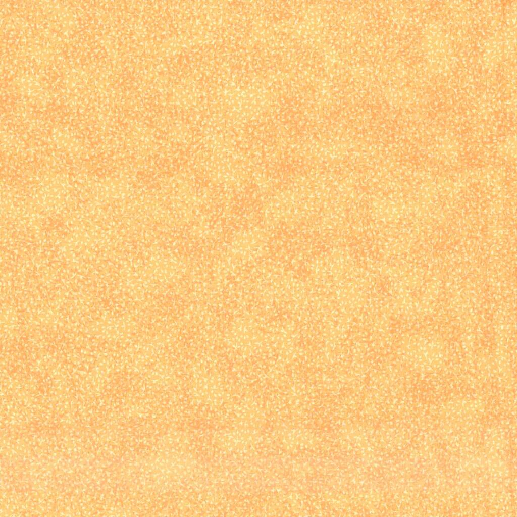 28923_10026422.jpg img